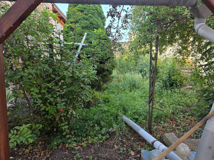Sprzedaż domu w Roßleben-Wiehe – Zdjęcie 8