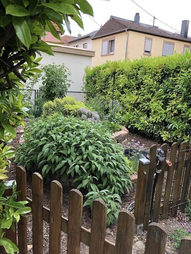 Gemüse- und Kräutergarten