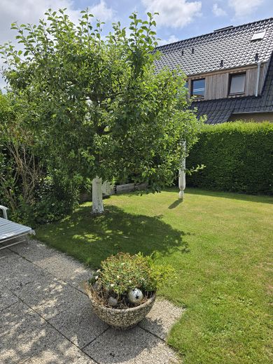 Südlage mit Apfelbaum