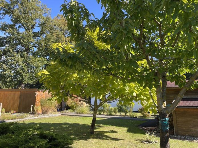 HORN IMMOBILIEN ++ modernes Einfamilienhaus mit Photovoltaikanlage, Garage und Terrasse in Torgelow – das Grundstück
