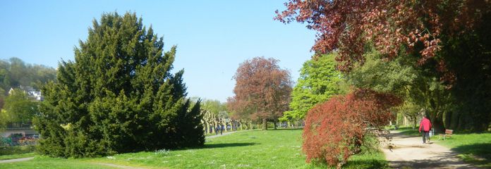 Park im Staden - Viertel