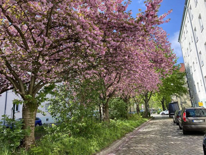 Splendido appartamento per vacanze a Prenzlauer Berg Modern Red – Rudolf-Schwarz-Straße