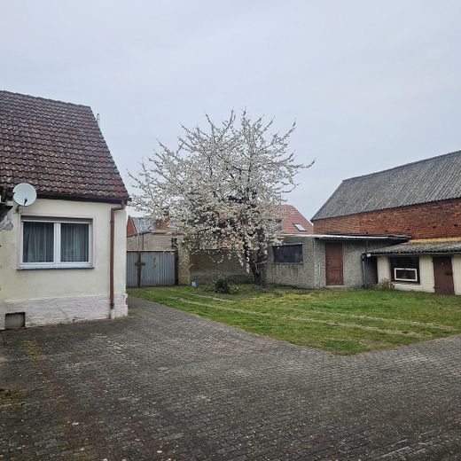 Hofanlage mit Wohnhaus, Scheune & ca. 5.000 m² Land – provisionsfrei – Scheune und Grünfläche
