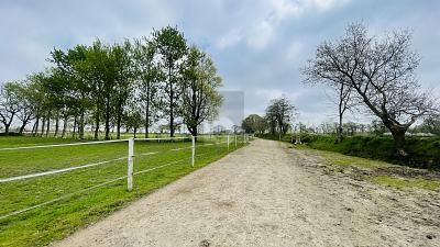 ZAGRODA PRZY OŚRODKU JEŹDZIECKIM – 1745641177_17e8fd.jpg