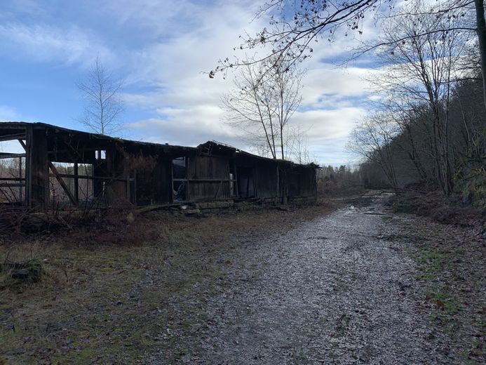 gewerbliches Grundstückspaket - 38222m² - am Bhf./Bahngleisen – 240105_Lengenfeld_GS_1263_24_25_26_007