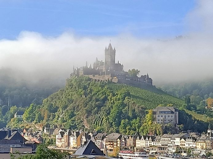 Umgebung Reichsburg Cochem