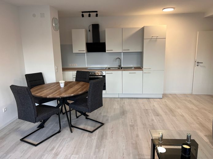 Sanierte und möblierte Wohnung mit Balkon im Herzen von Stuttgart-Vaihingen – Küche-Wohnzimmer2