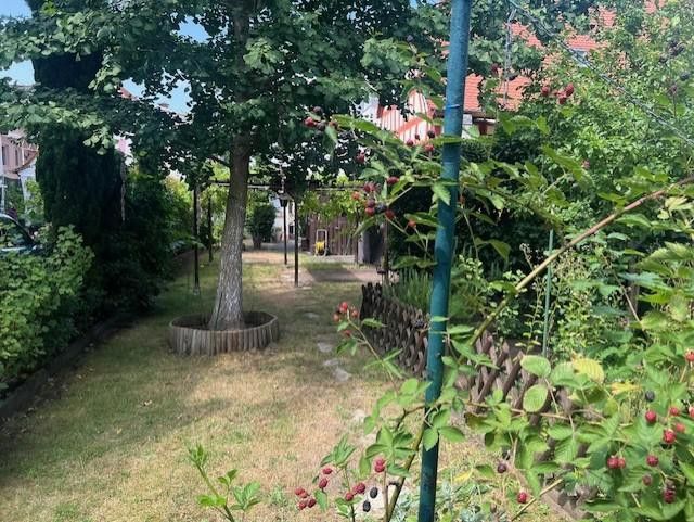 Garten3
