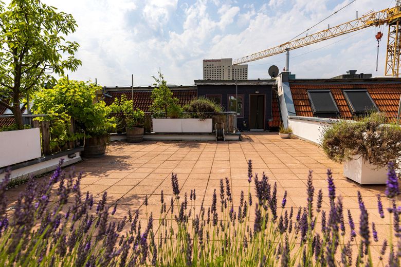 Listed monument-protected maisonette · 137m²· 70 m² roof terrace · elevator · vacant · Leipzig Zentrum-Nord – Dachterrasse