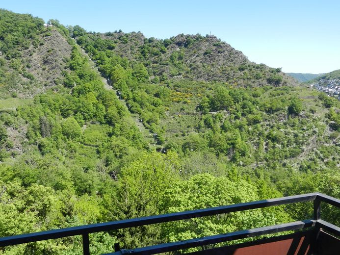 Einfamilienhaus mit Einliegerwohnung in Cochem Oberstadt zu verkaufen – Foto 3