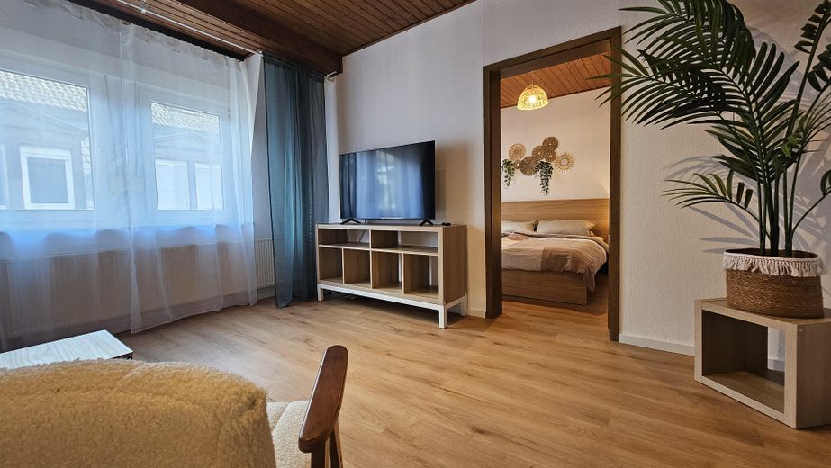 Moderno appartamento arredato di 2 locali a Fürth - PREZZO TUTTO INCLUSO – Wohnzimmer