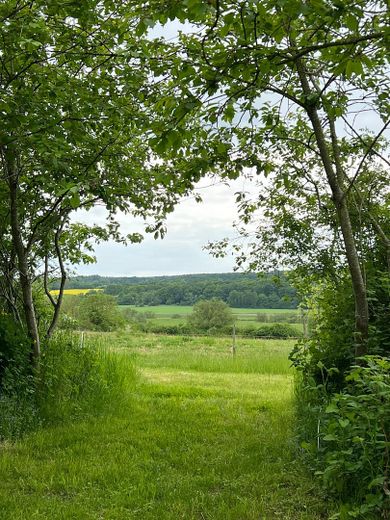 21 Hektar Paradies – Häuser, edle Nebengebäude, Acker, Wiesen, Wald und Wasser – Foto 16