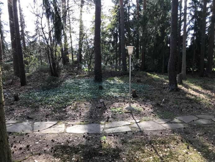Besondere Gelegenheit pos. Bauvoranfrage - Lindwedel /direkt – Foto 3