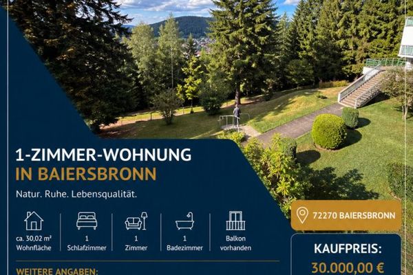 1 Zimmer Wohnung mit schöner Aussicht