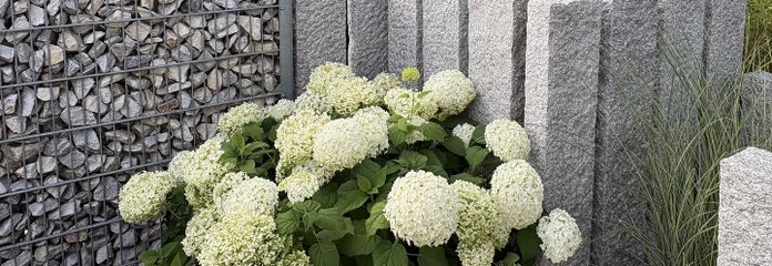 Exkl. EG HH /Whg. u. Apt., Garage, Garten, Kamin, Heizung NEU PREIS AUF ANFRAGE