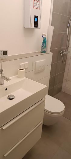 Moderne, frisch sanierte 1-Zimmer-Wohnung mit hochwertiger Ausstattung – Badezimmer links