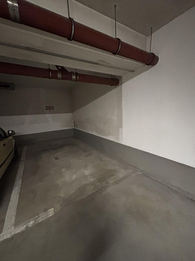 Stellplatz 1