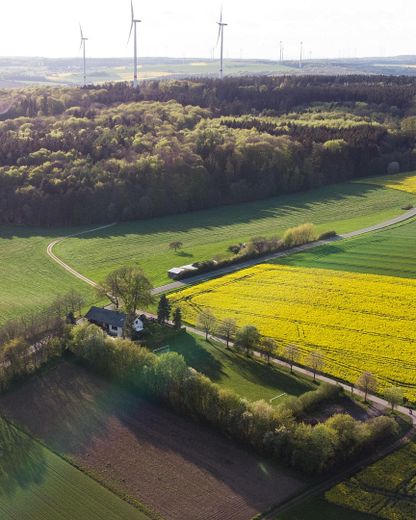 1,4 ha eigenes Land mit Wiese, Wald & Jagdhütte — Hunsrück-Landsitz in Einzellage – Foto 40