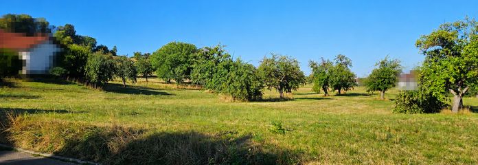 Blick nach Westen