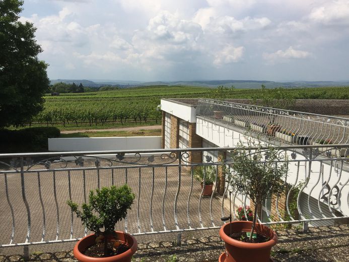 Blick von Bungalowterrasse