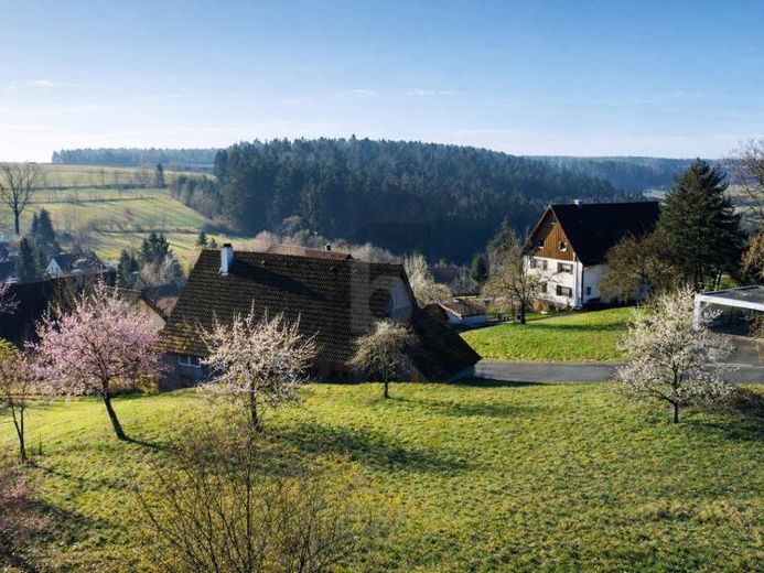 IHR ZUHAUSE ZWISCHEN APFELBÄUMEN – फोटो 1