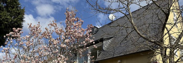 Blick auf Wohn-/EssZ. Terrasse