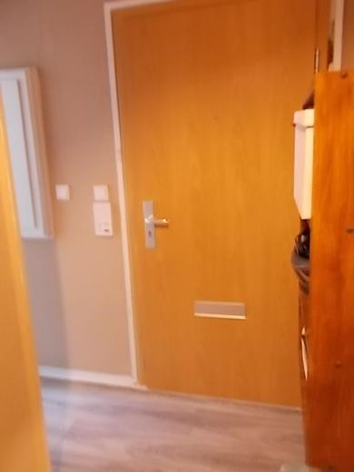 RESERVIERT  Schäfersee-Nähe! Bezugsfrei, lebendig – Wohnungstür