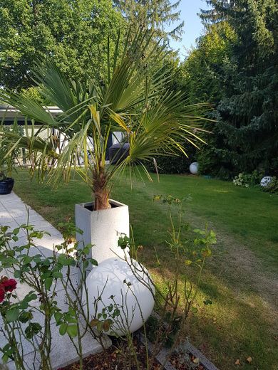 Stilvolles Haus zum Wohnen und Arbeiten mit moderner Ausstattung in Dreieich-Buchschlag – Garten