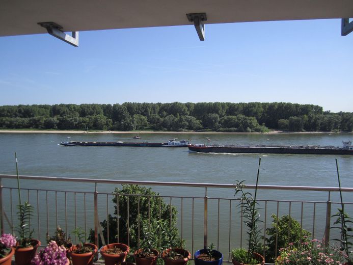 Watching ships count. All day long! – Rheinpanorama