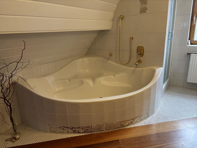A special house – Bad mit Wanne von Luigi Colani