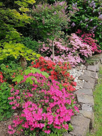 Impressionen Garten