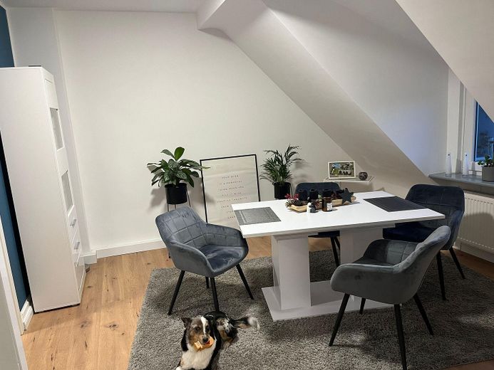 Appartement de 4 pièces avec cuisine équipée et jardin à louer ! Animaux domestiques autorisés ! – Photo 1