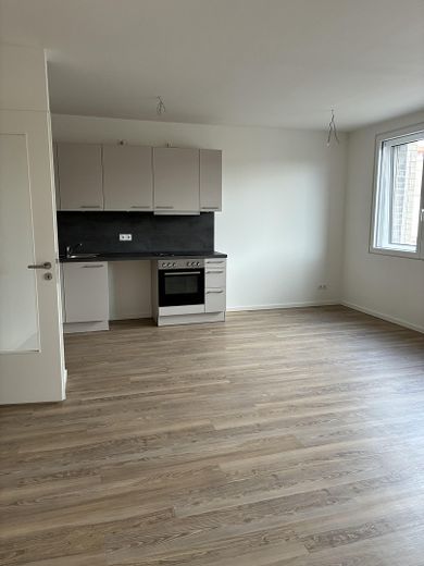 Schöne Neubauwohnung im Stadtzentrum – Offene Küche