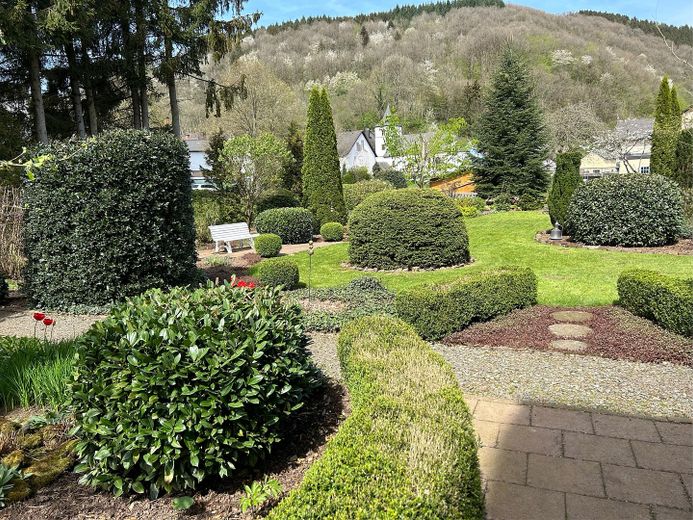 Blick in den Park