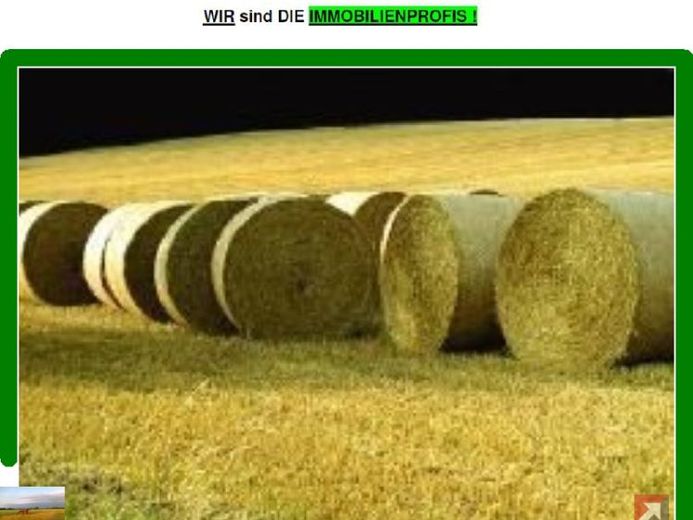 *** Grünland *** – Foto 1