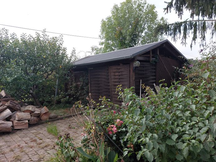 Schuppen mit Holz 2023