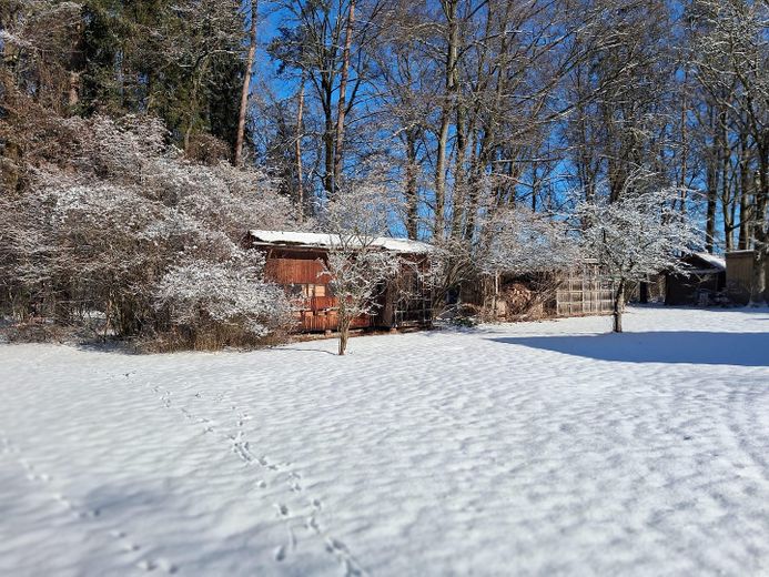 Ampia casa nel verde – utilizzo versatile, disponibile a breve | 659.000 € – Auch im Winter ein Traum...