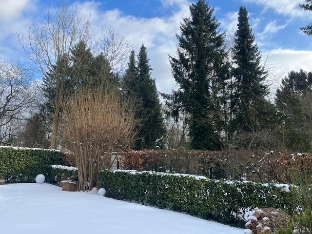 verschneiter Garten