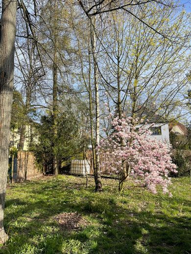 Grundstück Frühjahr