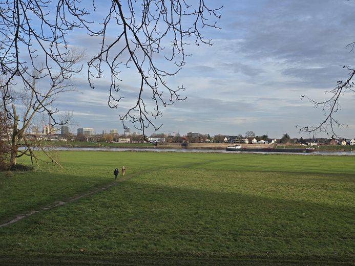 Ausblick über Rheinwiesen