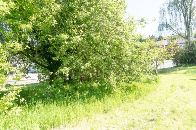 Einfamilienhaus in gehobener Lage auf 1008 m² – Garten