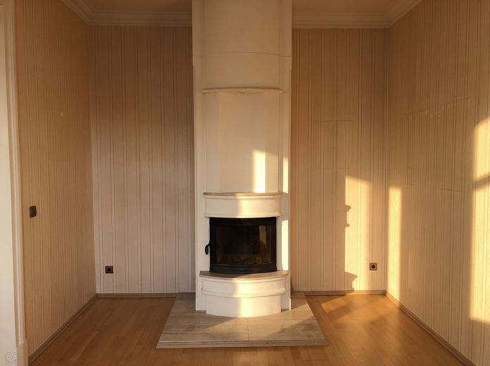centrally located apartment in a listed historic villa – Kaminzimmer