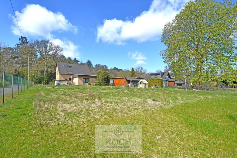 Großes 1-2 Familienhaus mit großem Grundstück in Loxstedt-Hahnenknoop – Gartenansicht