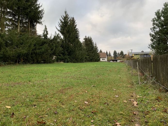 Idyllisch ruhig gelegenes Baugrundstück mit 1986m² – 241113_GS_1012_Lgbd_Bilder_007
