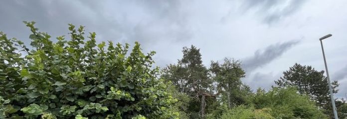 EIN HAUS, DAS MIT GROSSEM PLATZANGEBOT ÜBERZEUGT