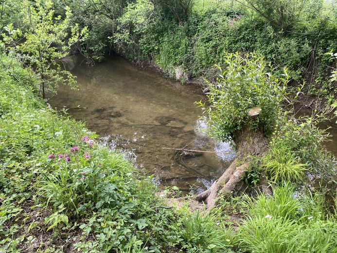 Bach bei Gartengrundstück