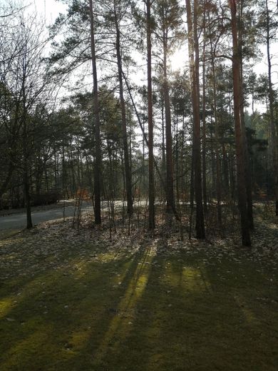 Erstbezug nach Sanierung! 3 Zi.Whg. mit Balkon in Walddrehna – Blick vom Balkon