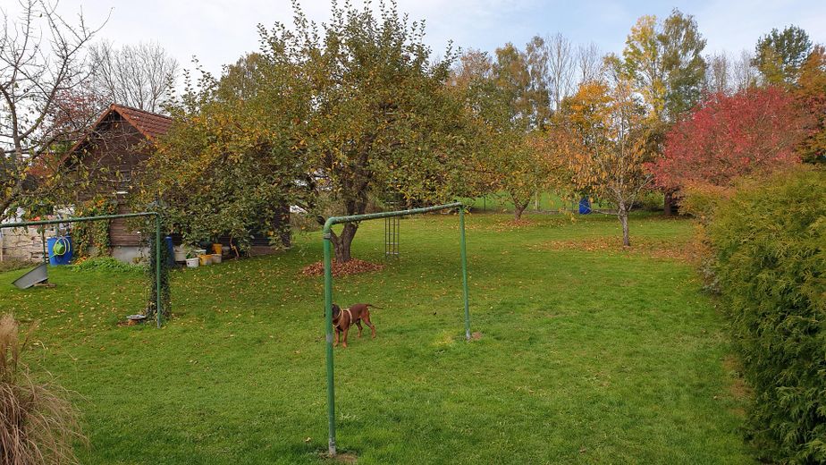 Casa unifamiliar con terreno de recreo opcional – Blick in den Garten