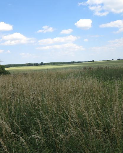 eines der letzten, erhaltenen SCHEUNENGUTSHÄUSER (mit 4-6 ha. Naturgrundstück) – Freier Feldblick...