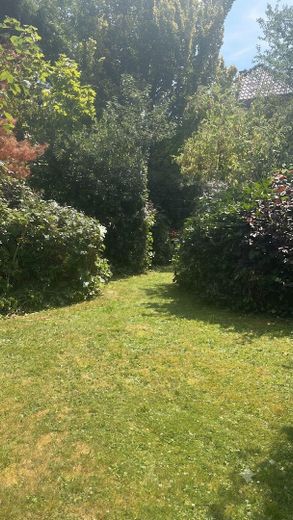 House with large plot in Wassenberg - plenty of potential for craftsmen – Foto 21
